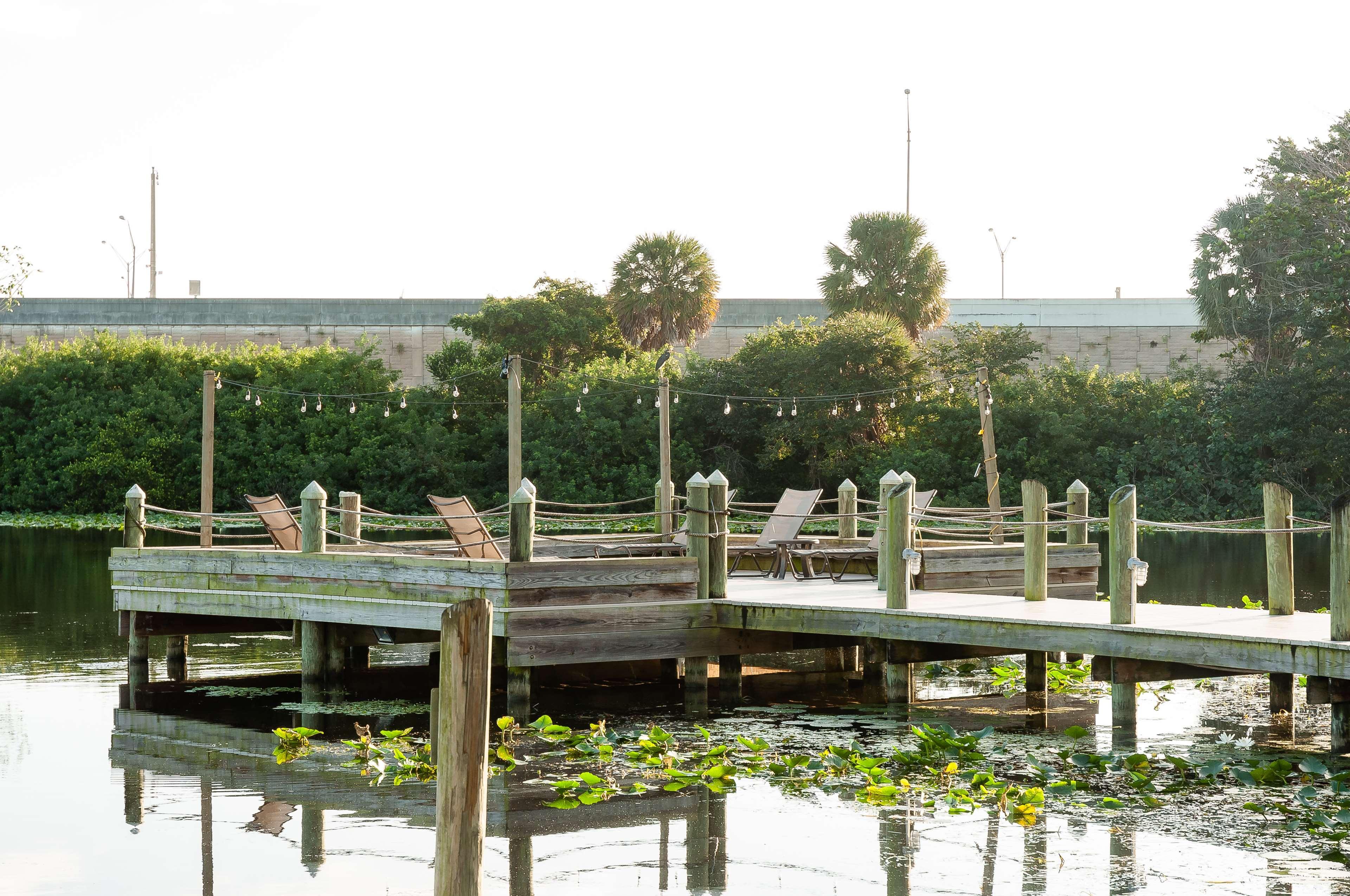 Hotel Hilton Palm Pbi