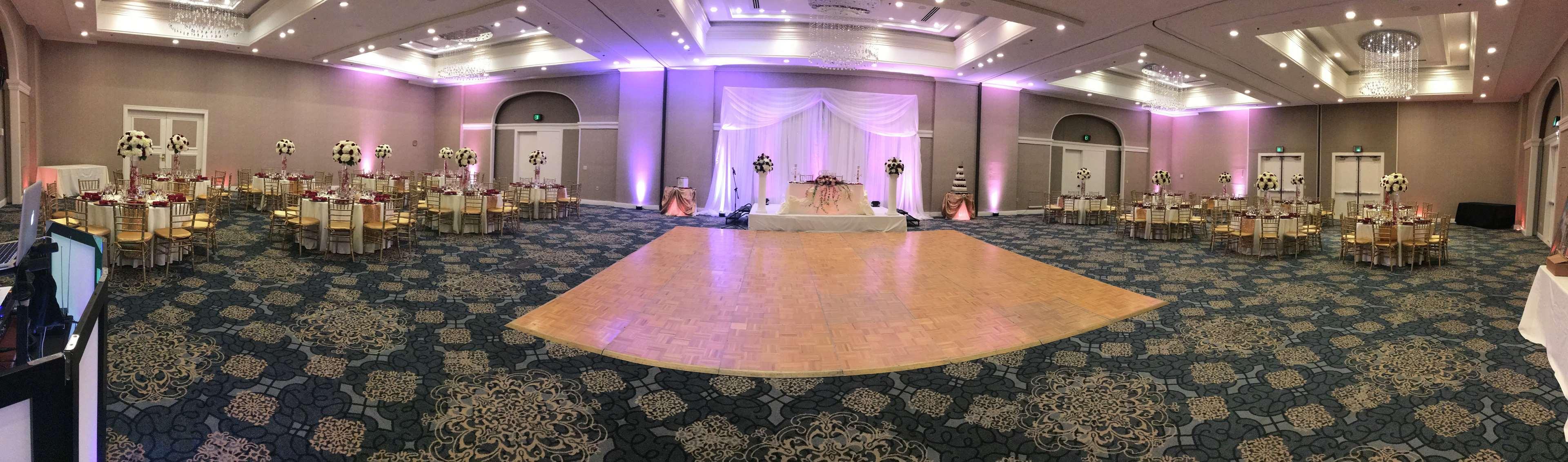 Hilton Palm Pbi