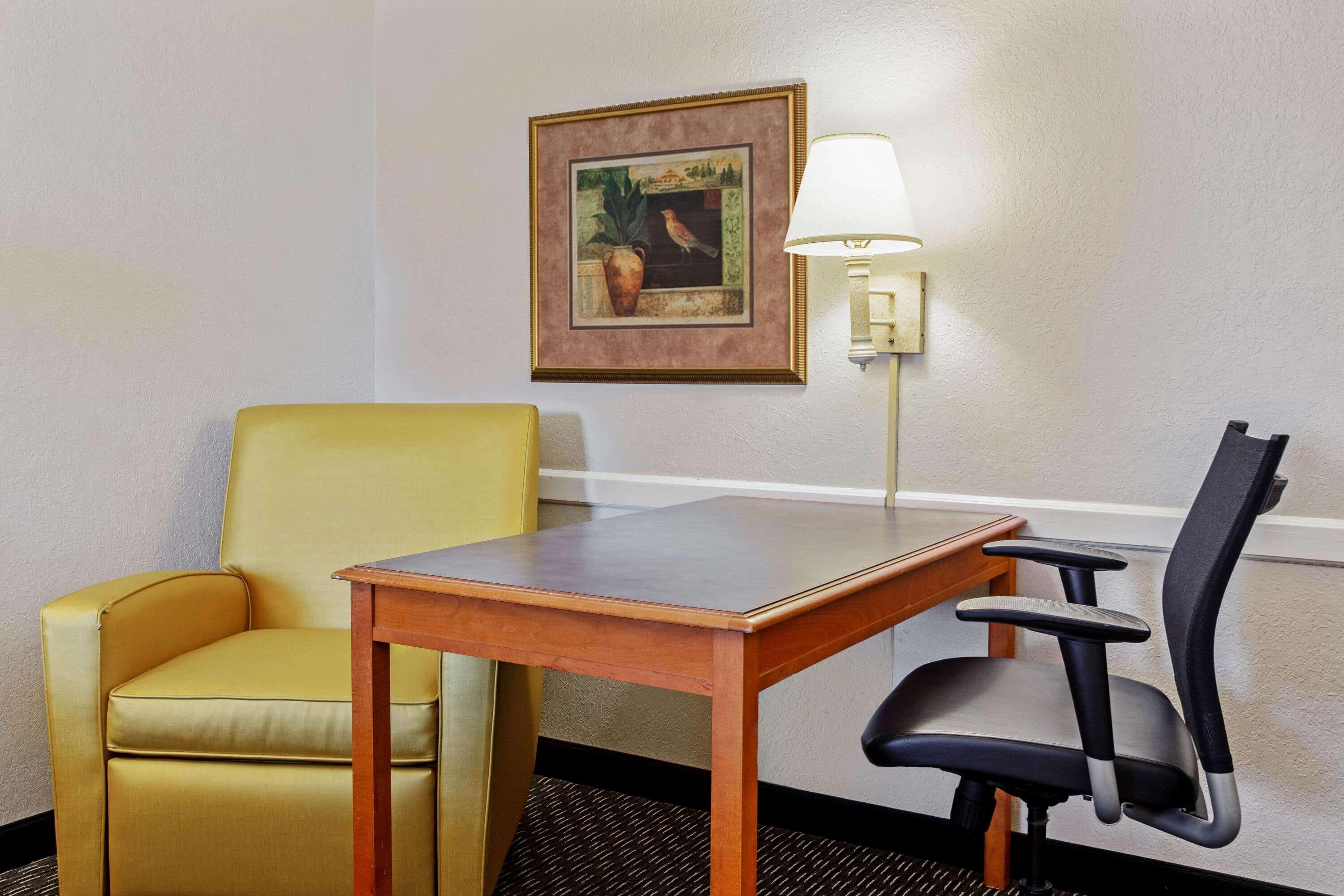 La Quinta By Wyndham Tampa Bay Clearwater Hotel