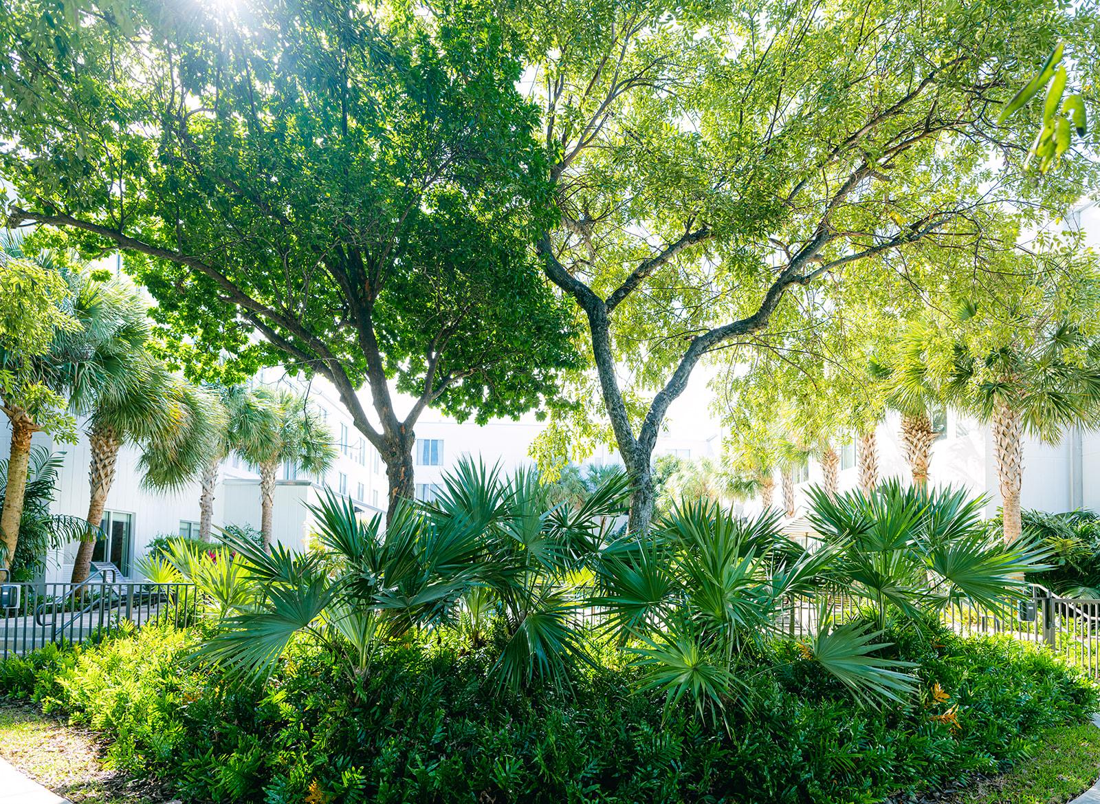 Resort Faro Blanco & Yacht Club Marathon, Curio By Hilton Marathon
