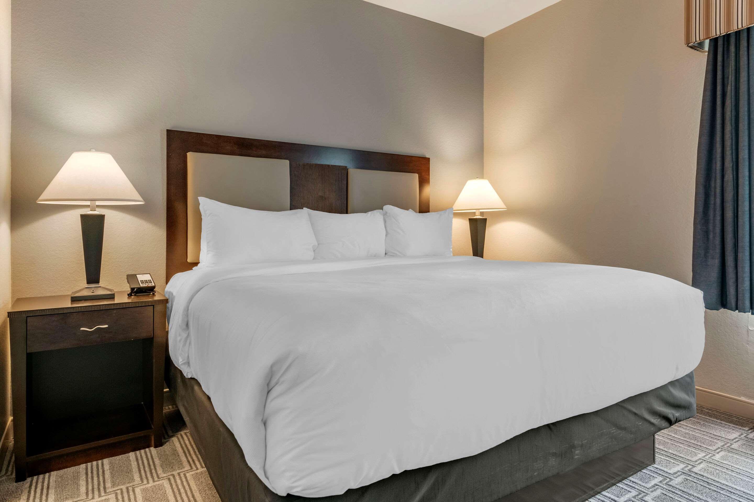 Hotel Comfort & Port Charlotte-punta Gorda Port Charlotte