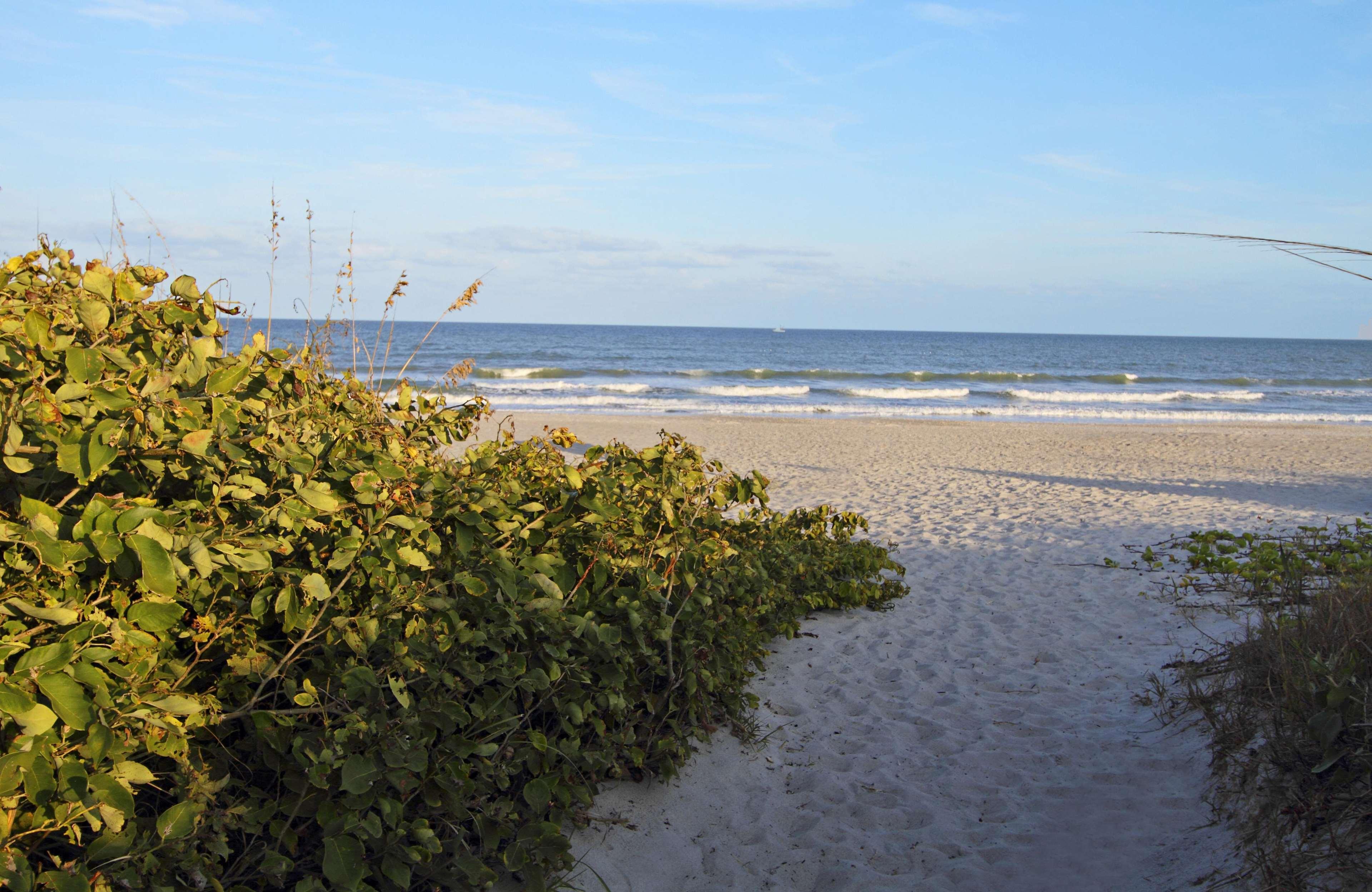Hampton Cocoa Cocoa Beach