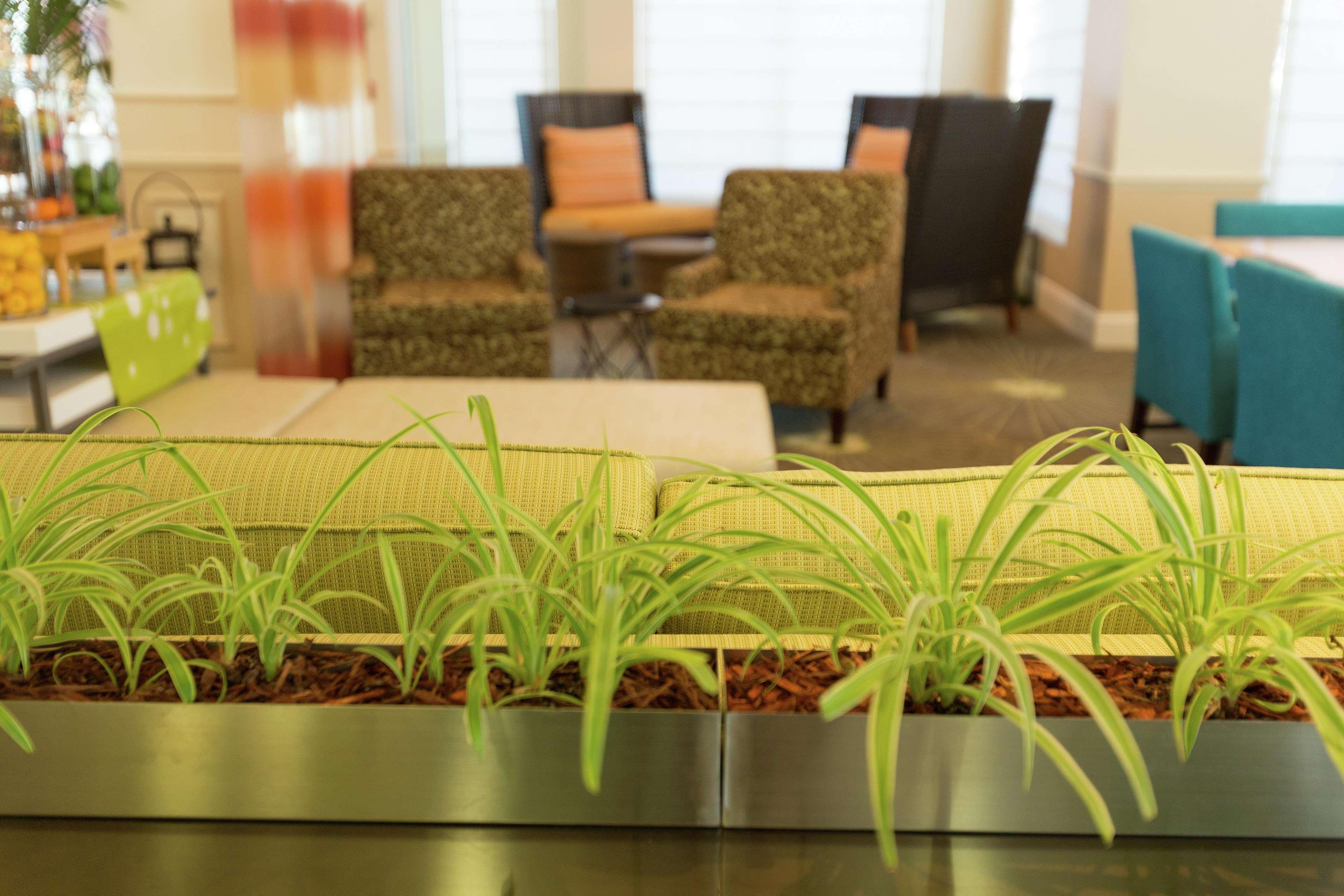 Hilton Garden Saint Augustine