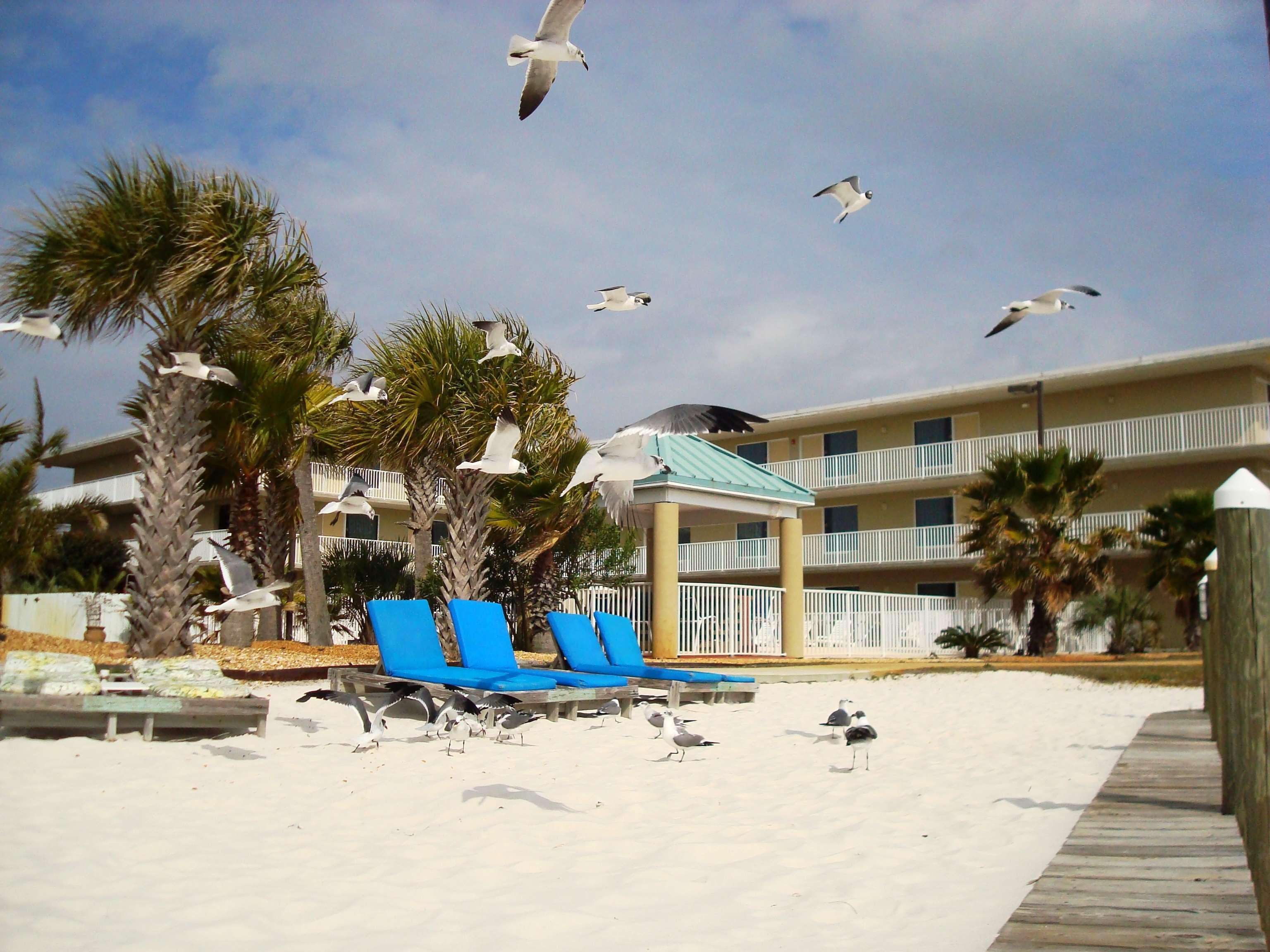 Western Waterfront Hotel 3*
