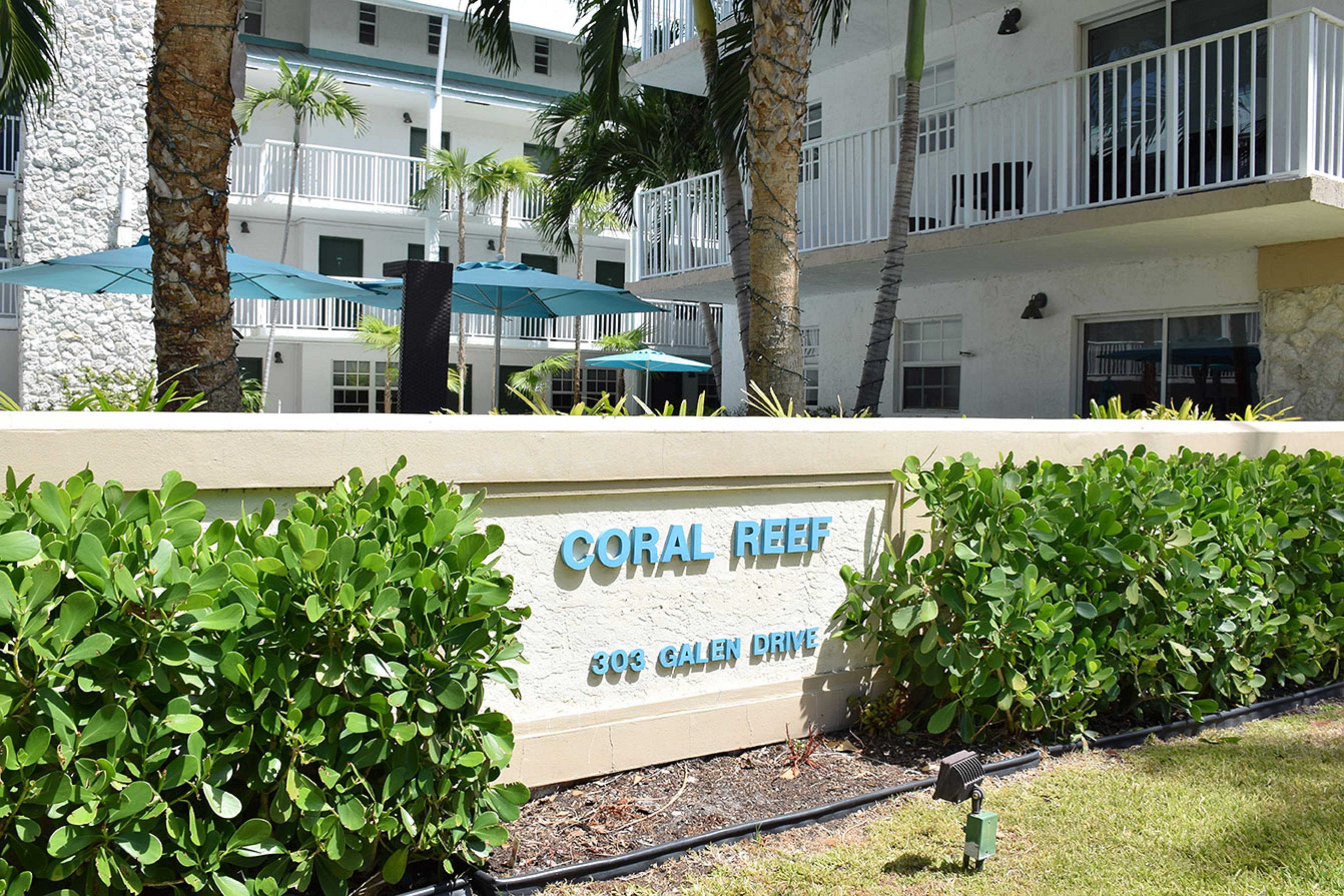 Coral Reef At Key Biscayne