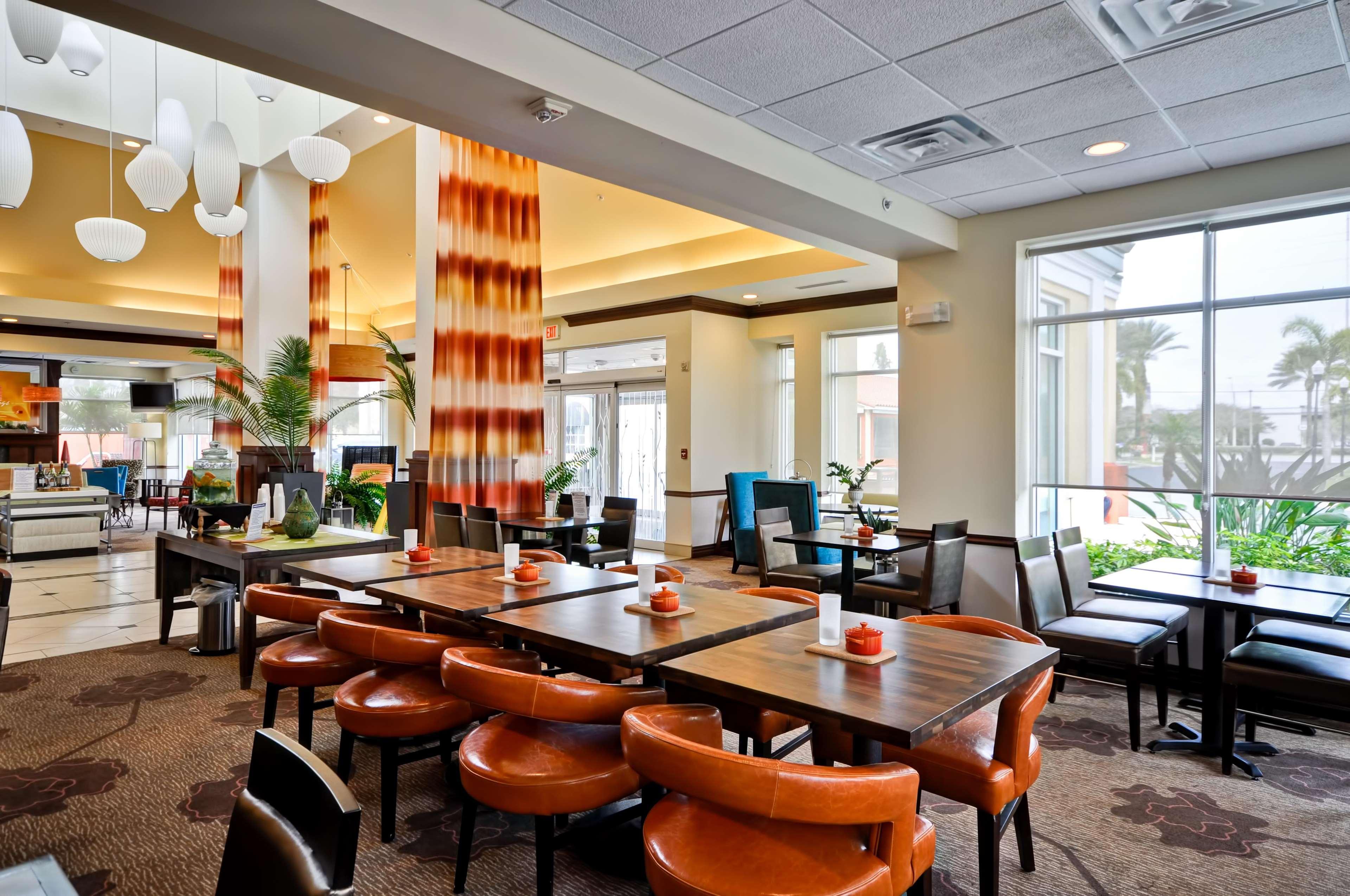 Hotel Hilton Garden Tampa Northwest/oldsmar Oldsmar