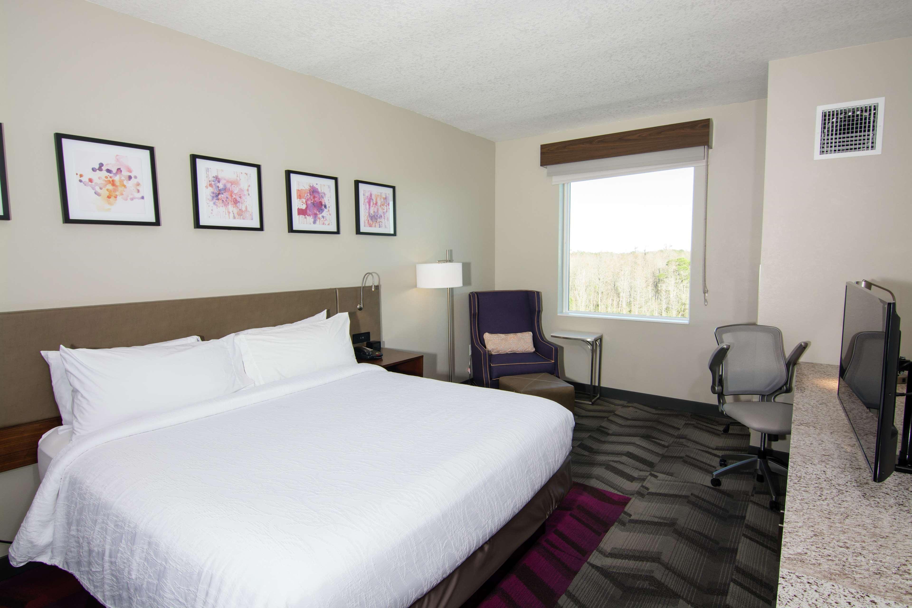 Hotel Hilton Garden Tampa Suncoast Parkway