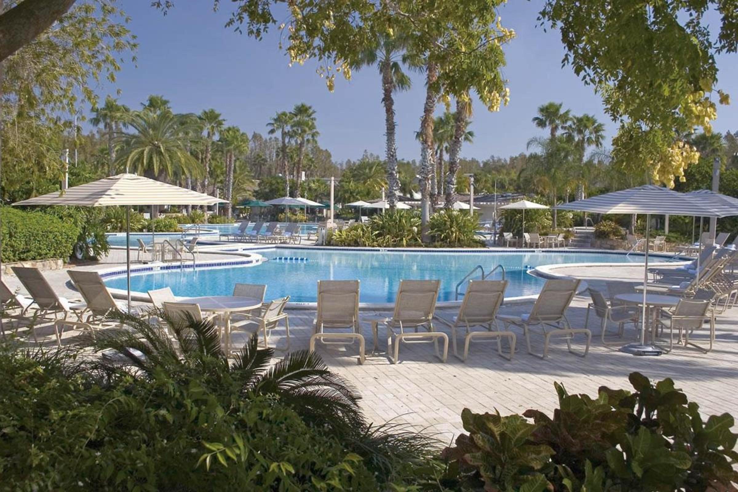Resort Saddlebrook Golf & Tampa North-wesley Chapel