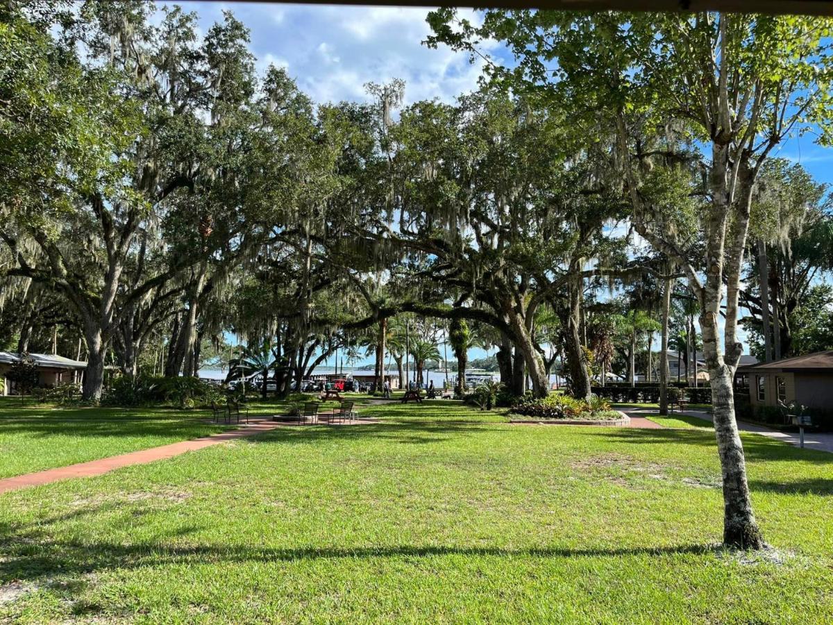 Tropical Marina & On Beresford