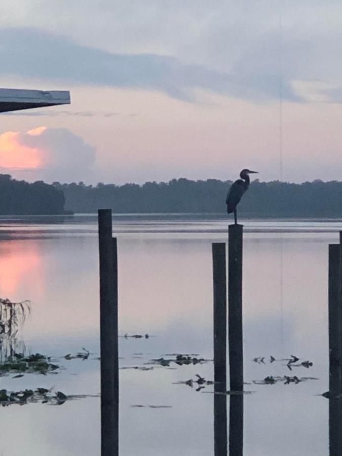 Resort Tropical Marina & On Beresford DeLand