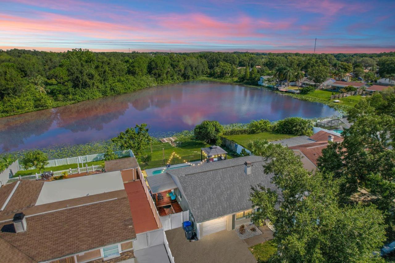 Charming 3 Bed/ba W/pool And View! Holiday home Tampa