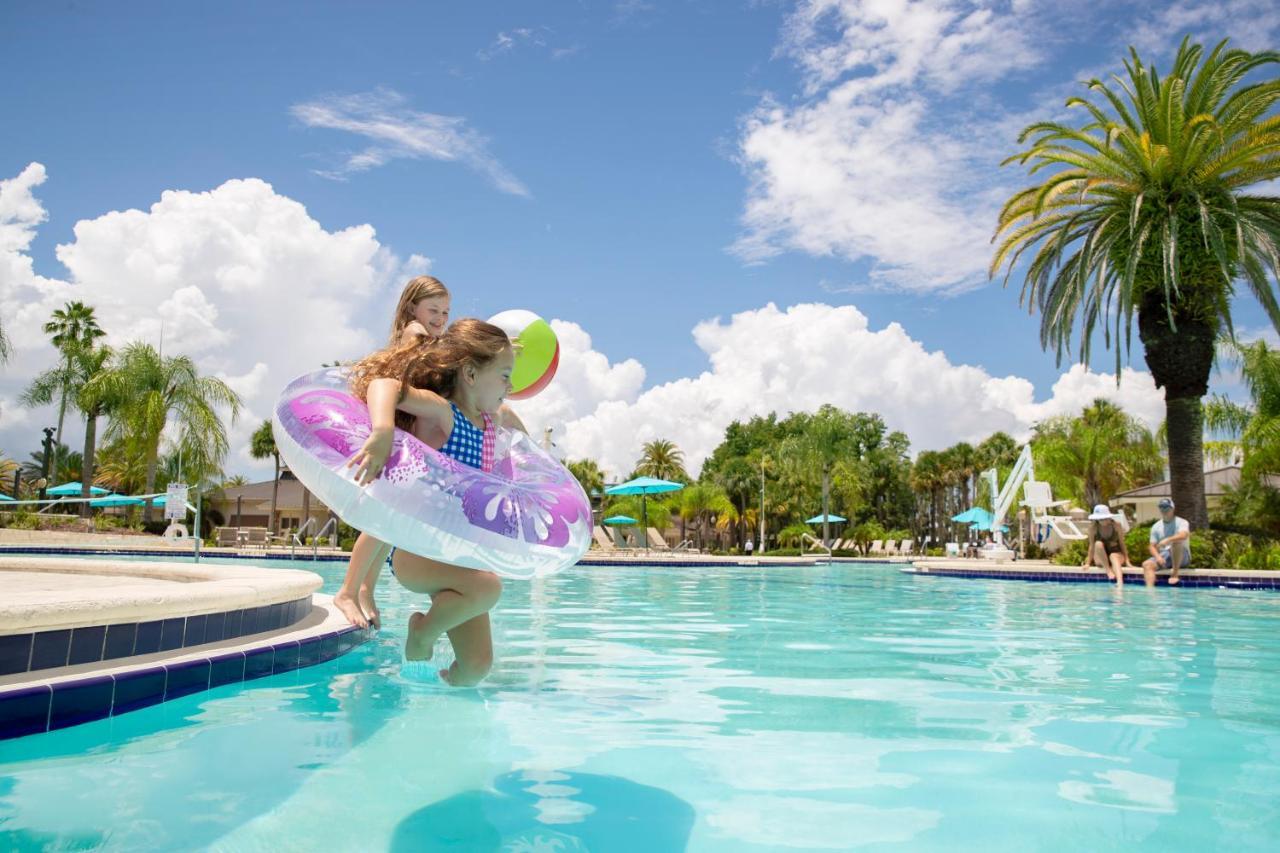 Resort Saddlebrook Golf & Tampa North-wesley Chapel