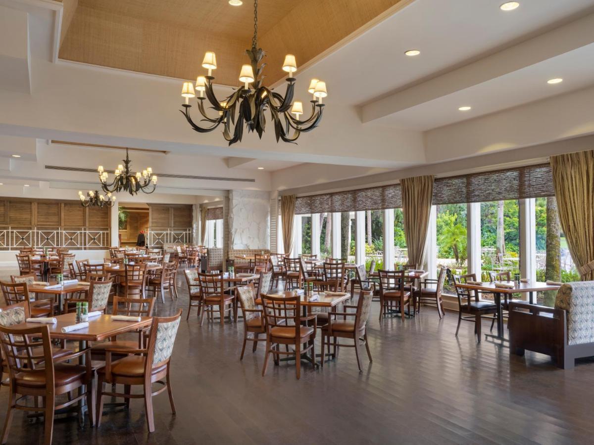 Resort Saddlebrook Golf & Tampa North-wesley Chapel Wesley Chapel