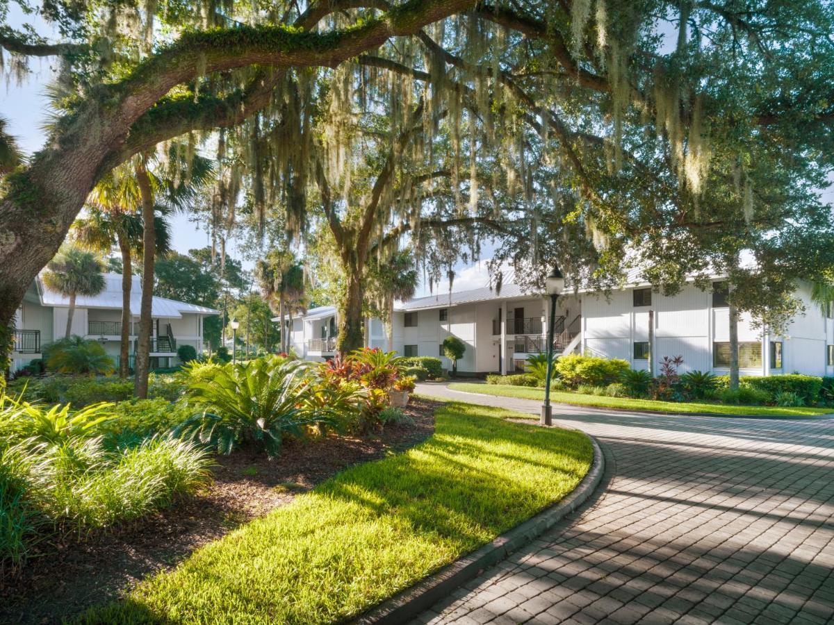 Resort Saddlebrook Golf & Tampa North-wesley Chapel Wesley Chapel