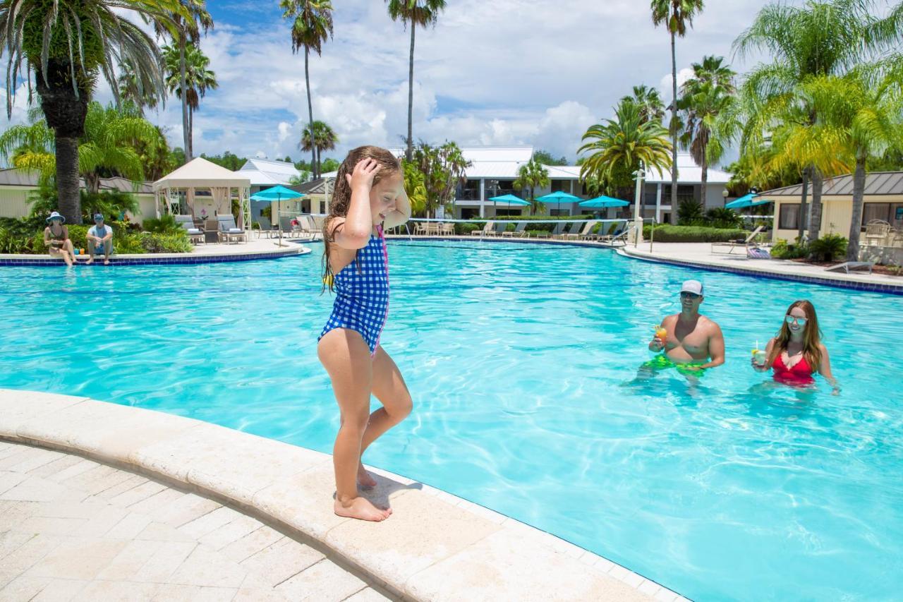 Resort Saddlebrook Golf & Tampa North-wesley Chapel Wesley Chapel