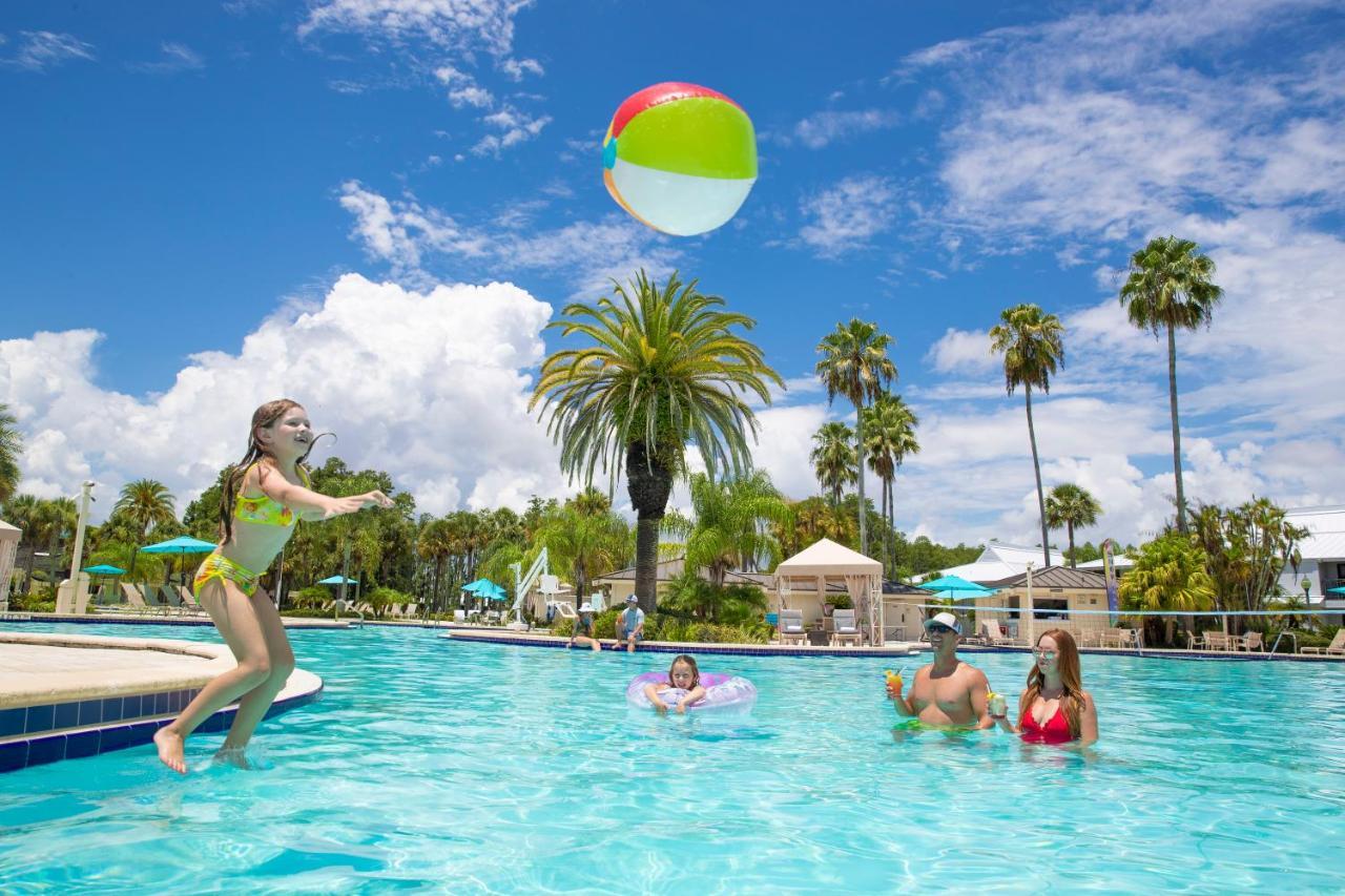 Saddlebrook Golf & Tampa North-wesley Chapel Resort