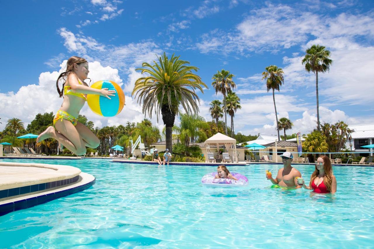 Resort Saddlebrook Golf & Tampa North-wesley Chapel Wesley Chapel