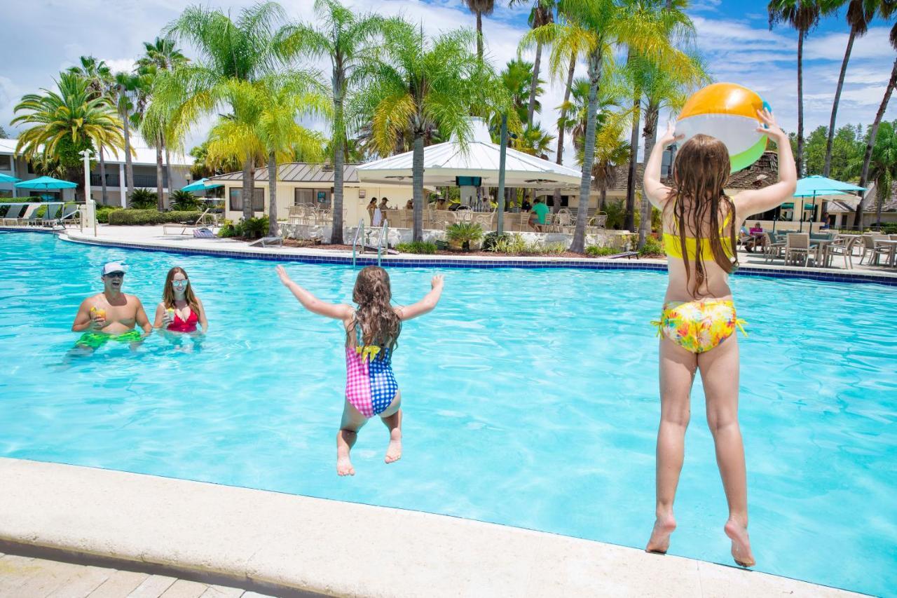 Resort Saddlebrook Golf & Tampa North-wesley Chapel 4*