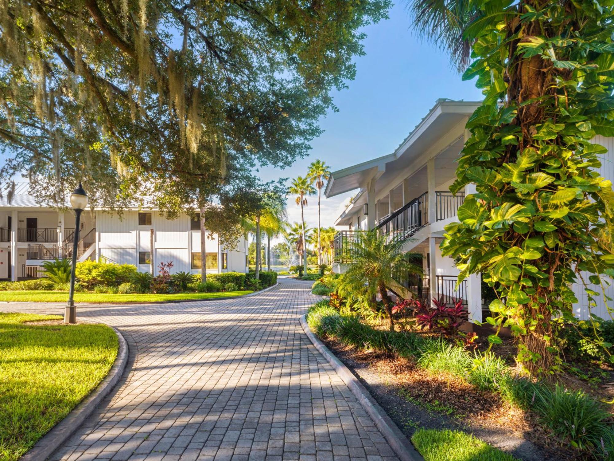 Saddlebrook Golf & Tampa North-wesley Chapel
