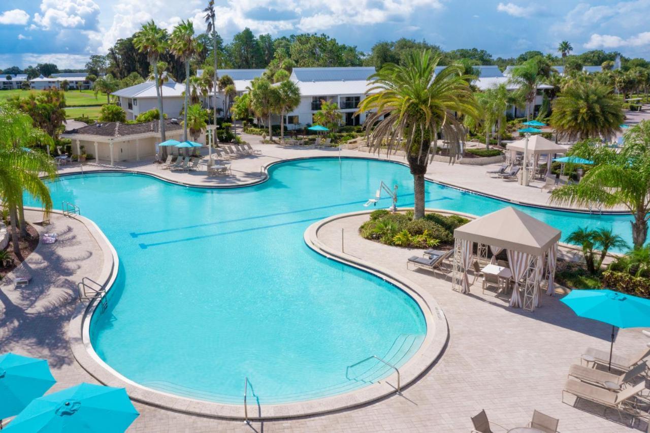 Saddlebrook Golf & Tampa North-wesley Chapel Resort Wesley Chapel