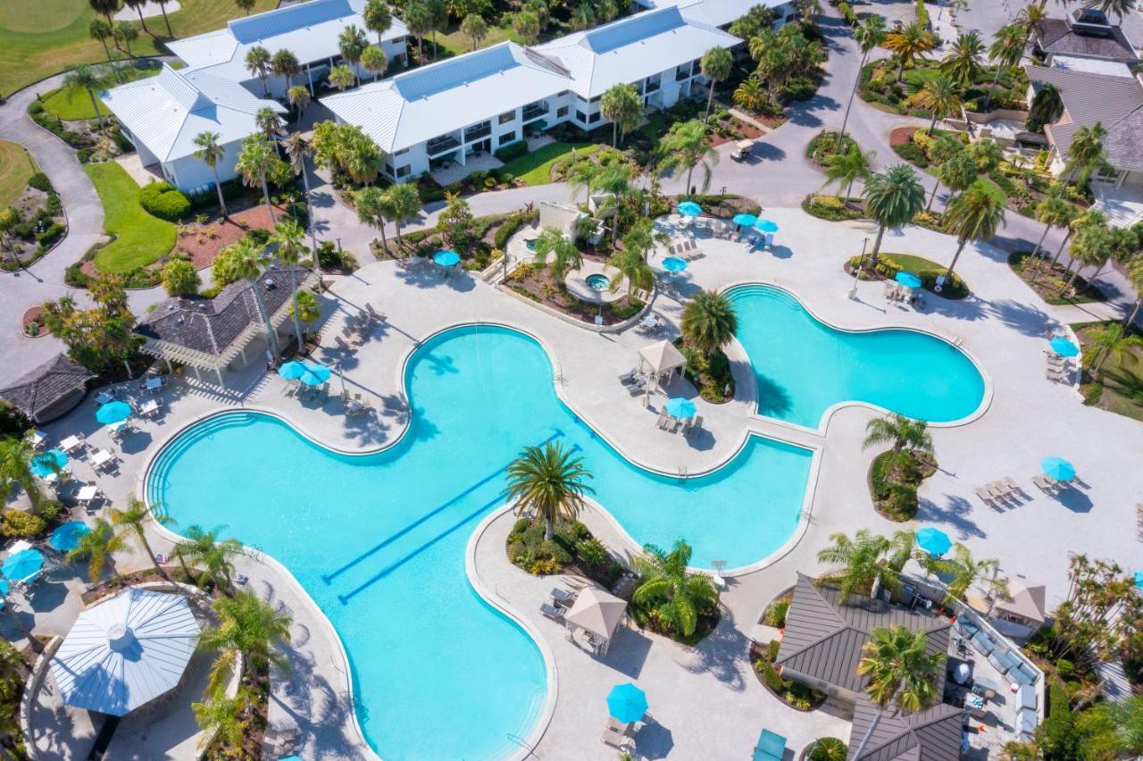 Resort Saddlebrook Golf & Tampa North-wesley Chapel Wesley Chapel