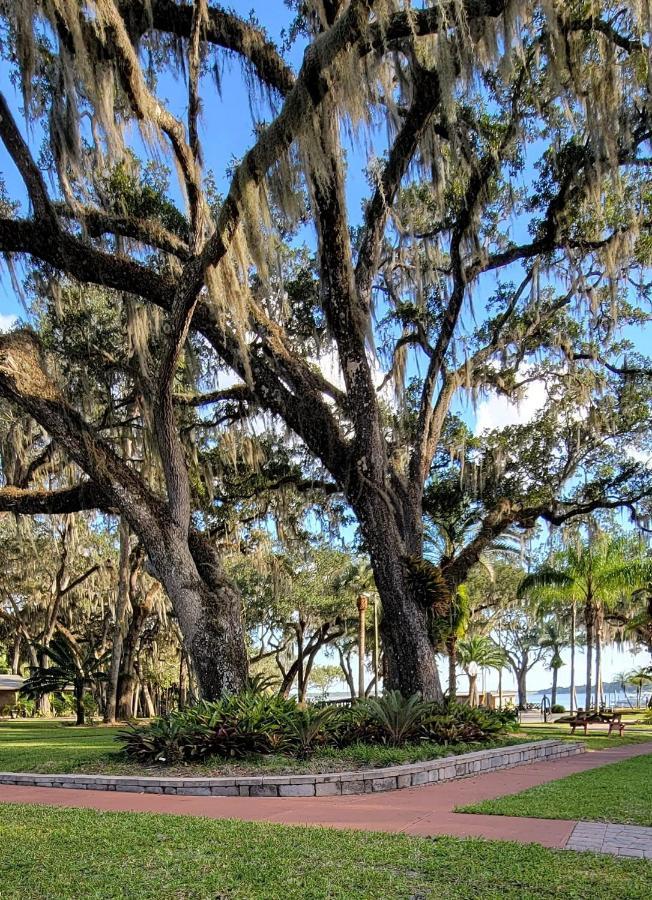 Tropical Marina & On Beresford