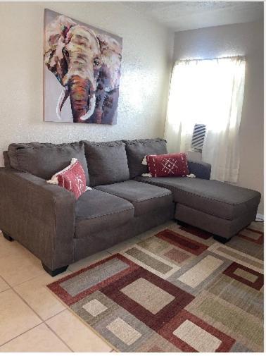 Apartment Comfy