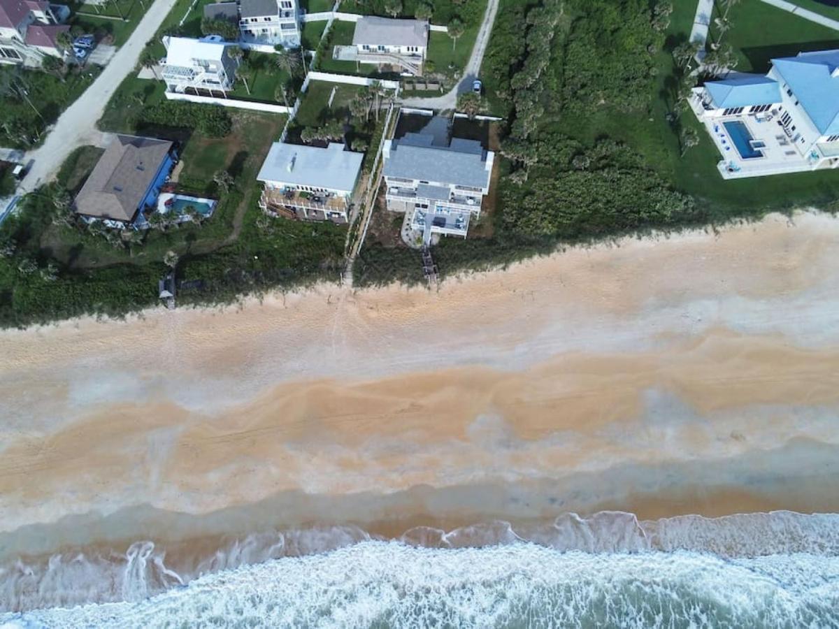 Tipsy Turtle Funky Pelican Massive Oceanfront Holiday home Palm Coast