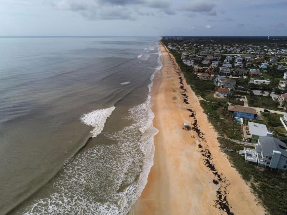 Tipsy Turtle Funky Pelican Massive Oceanfront * Palm Coast