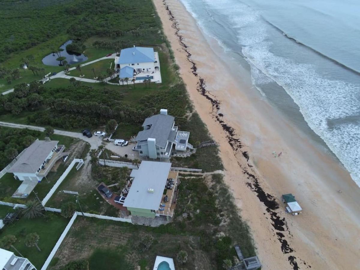 Tipsy Turtle Funky Pelican Massive Oceanfront * Palm Coast