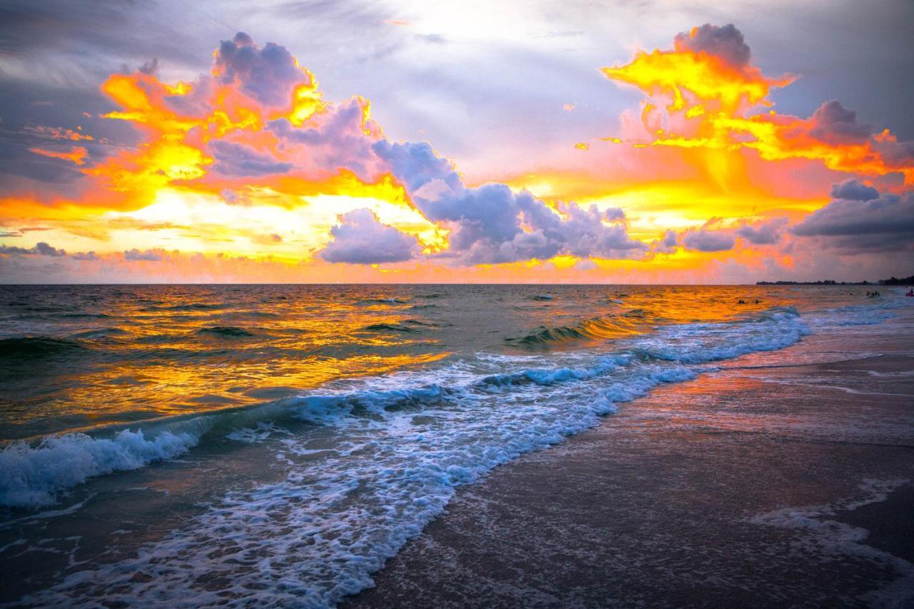 Anna Maria Island Bay Watch