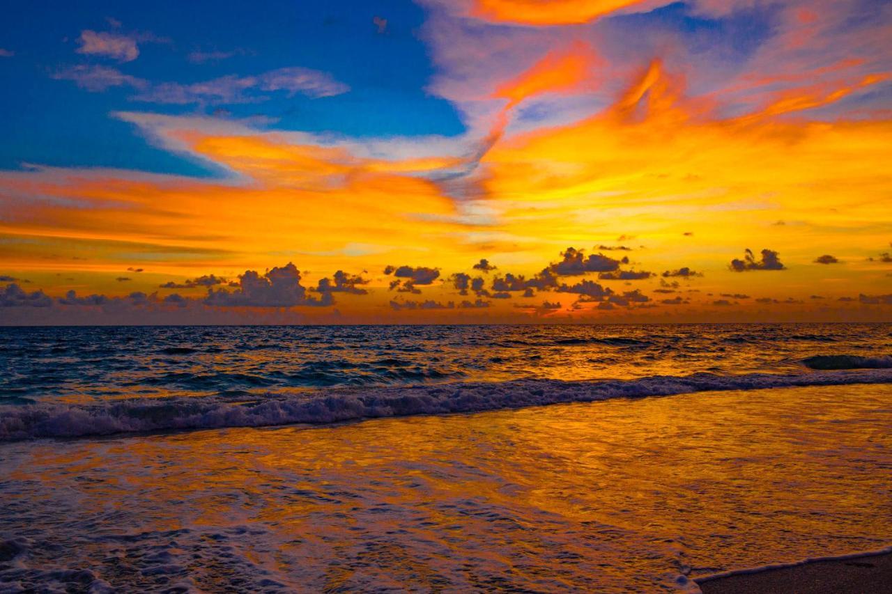 Anna Maria Island Bay Watch *