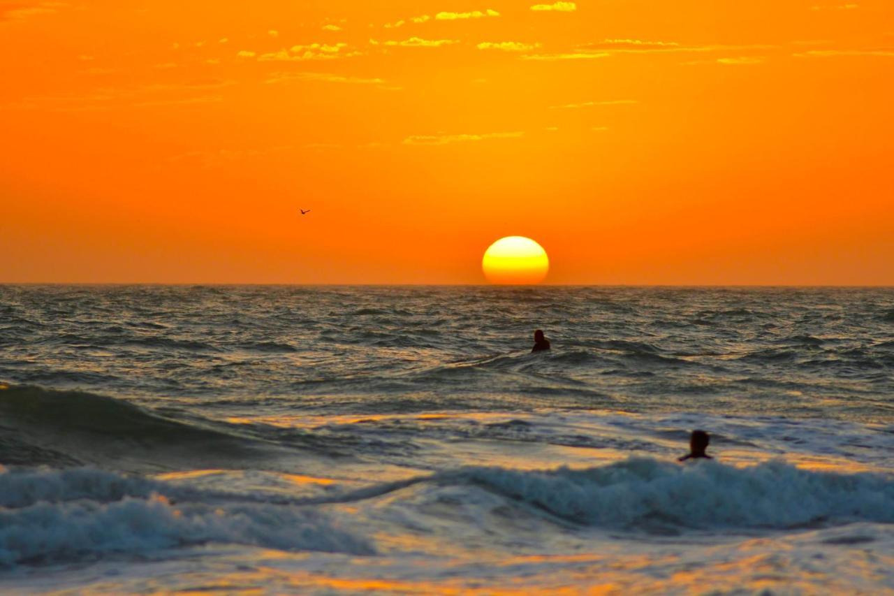 Anna Maria Island Bay Watch