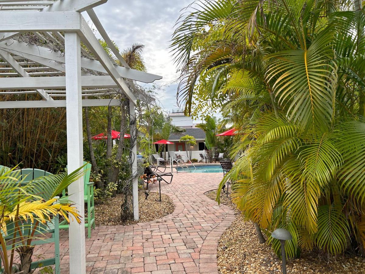 An Island Getaway At Palm Tree *