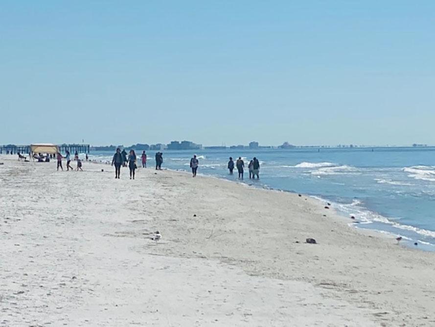 Redington On The Beach Sea Rocket Wifi Parking 14 * St. Pete Beach
