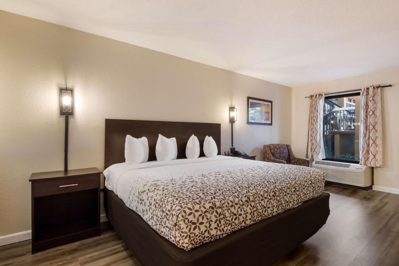 Surestay By Western St Pete Airport