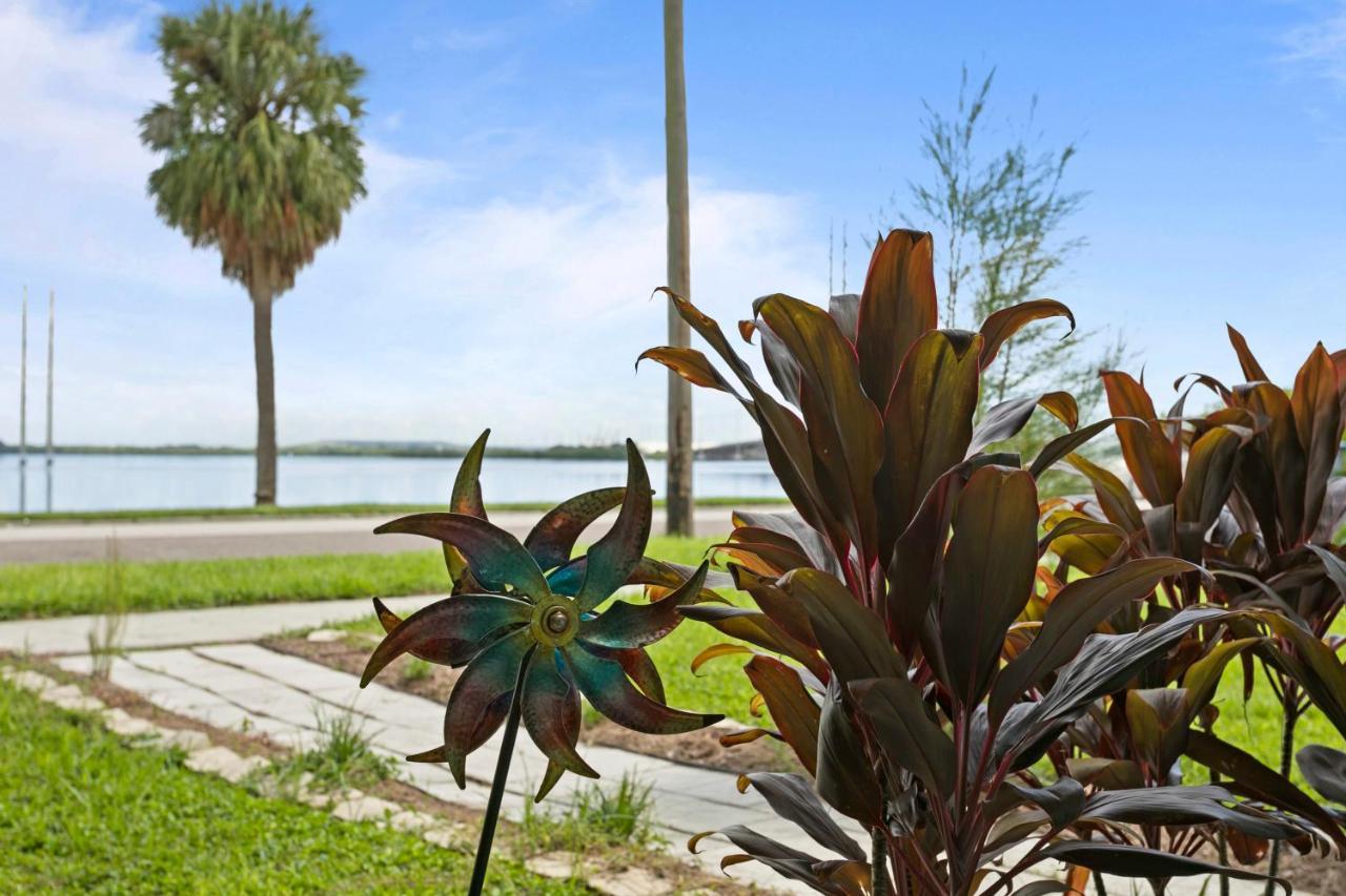 Bayside Safari 1bed 1 Bath Apartment Tampa