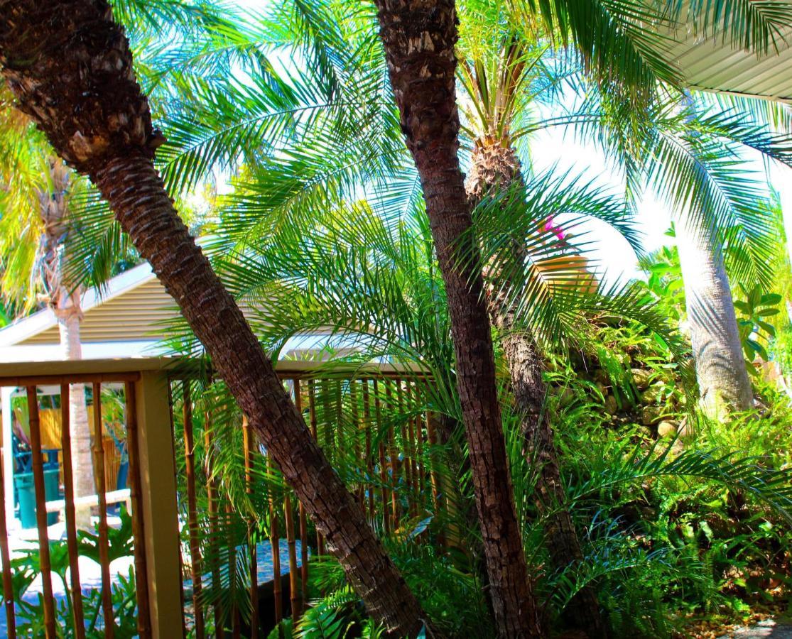 Coconut Grove 8 Clearwater Beach