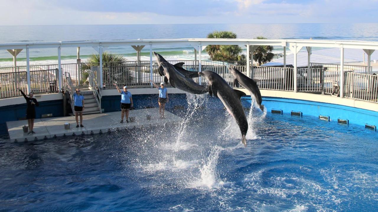 St. Maarten At Silver Shells 905 Holiday home *
