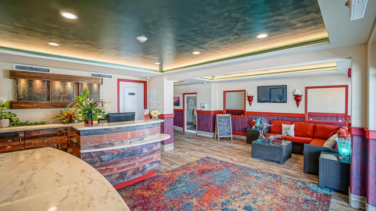 Glunz Ocean And Hotel 4*