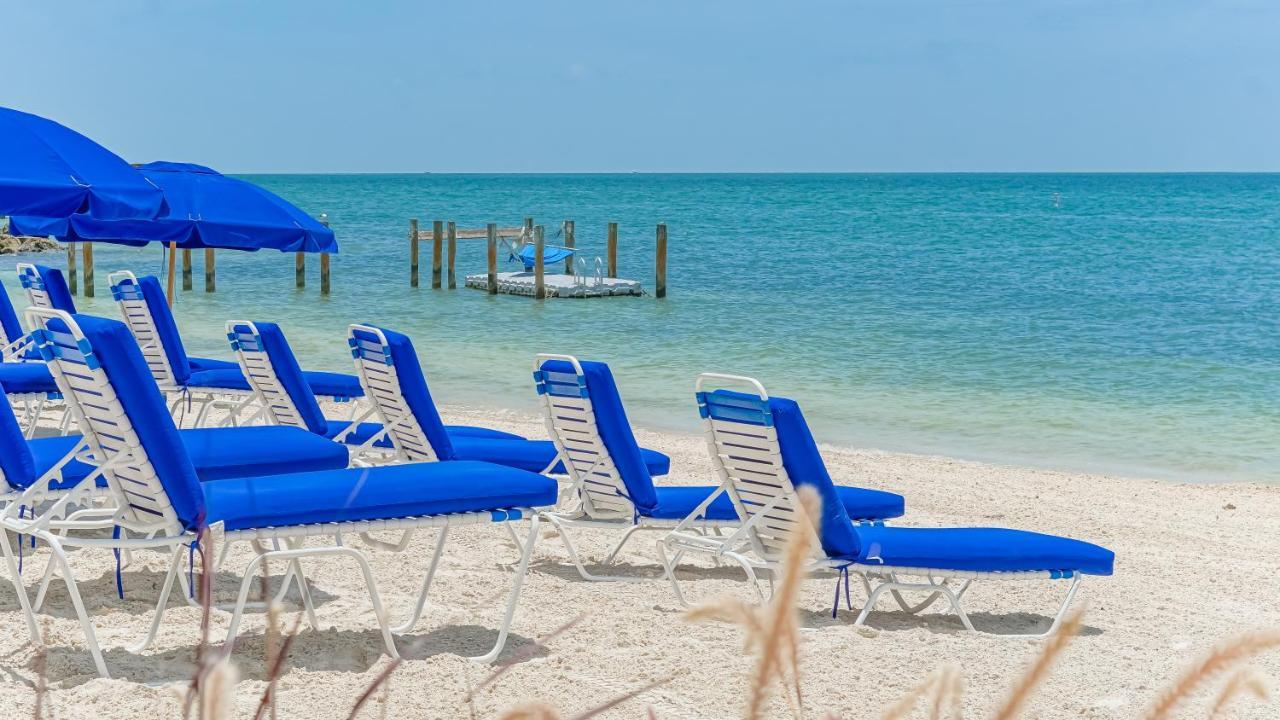 Glunz Ocean And 4* Marathon