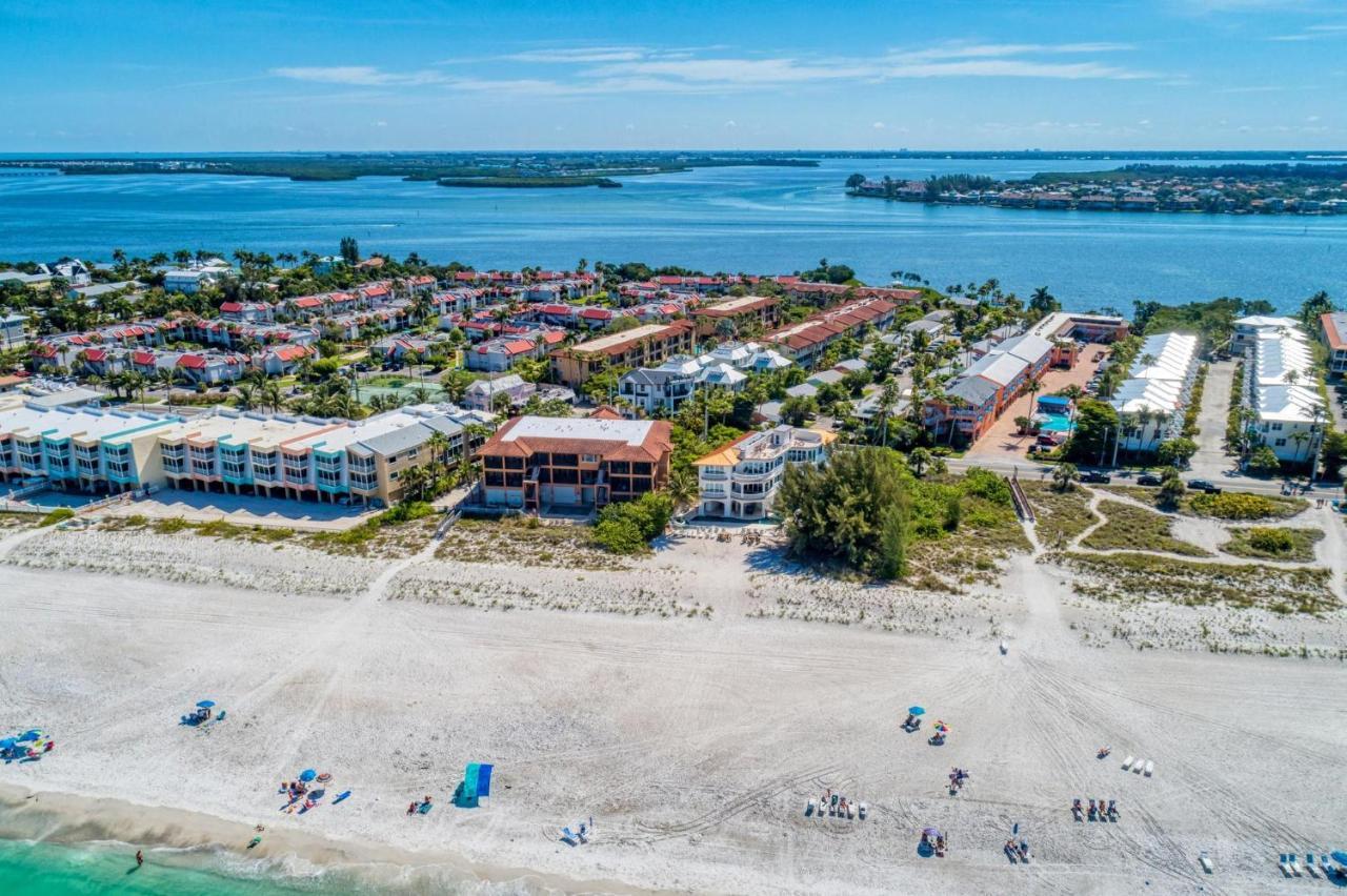 Anna Maria Island Palms 6b