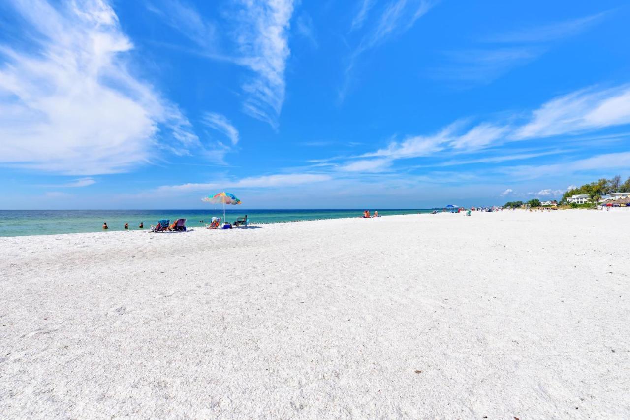 Anna Maria Island Palms 6b *