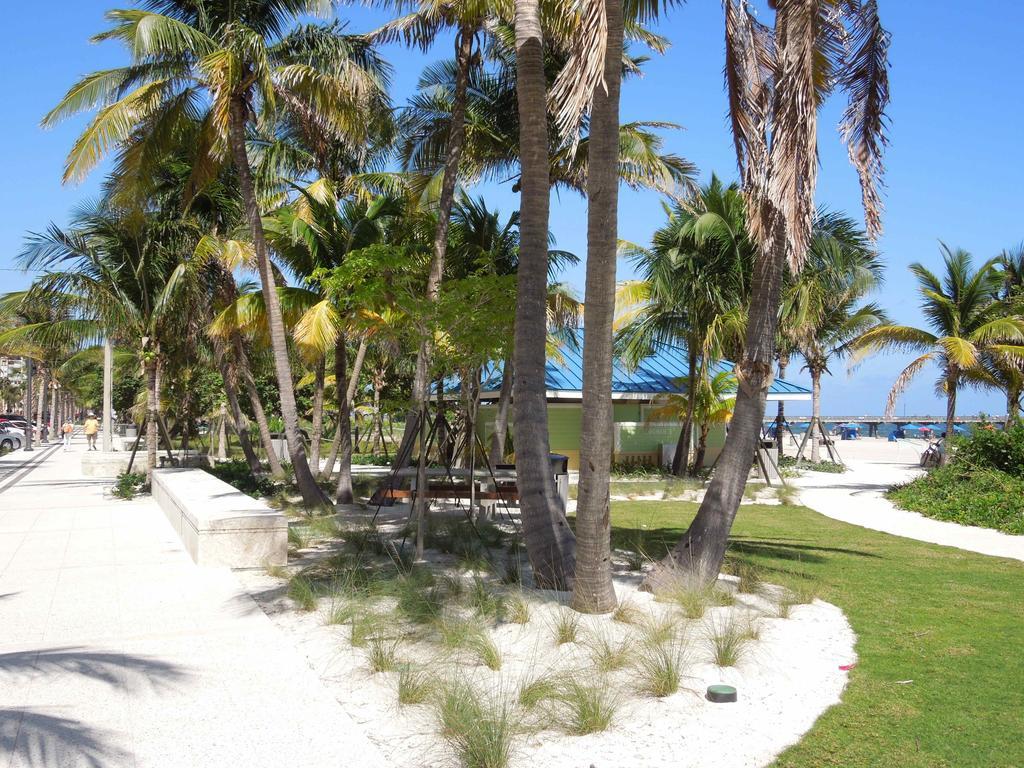 Sunny Place *