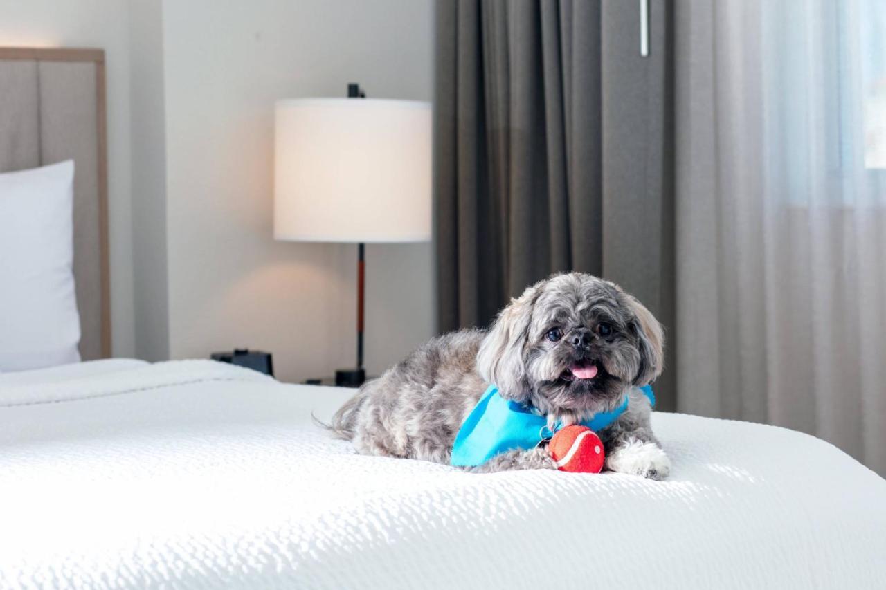 By Marriott Miami Mall Hotel Aventura