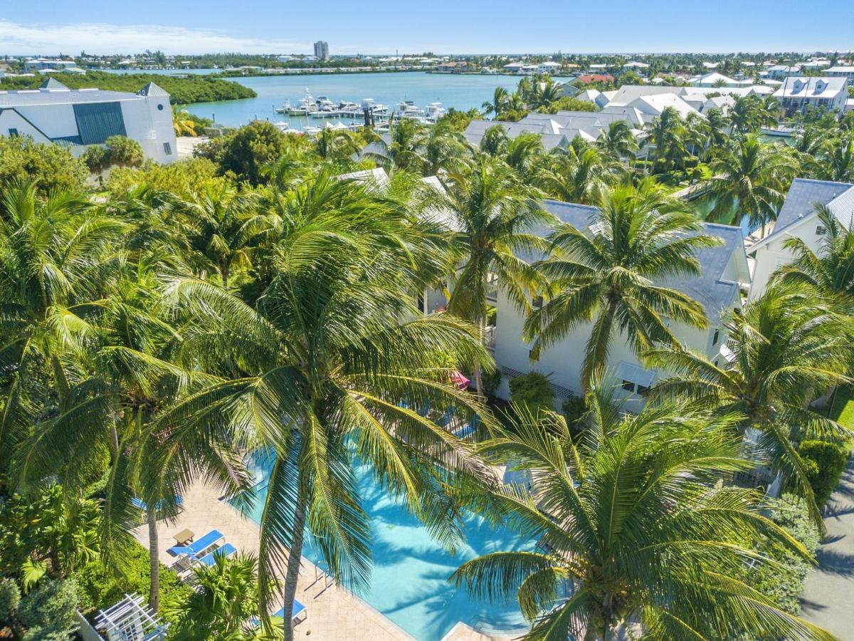 Coral Lagoon *