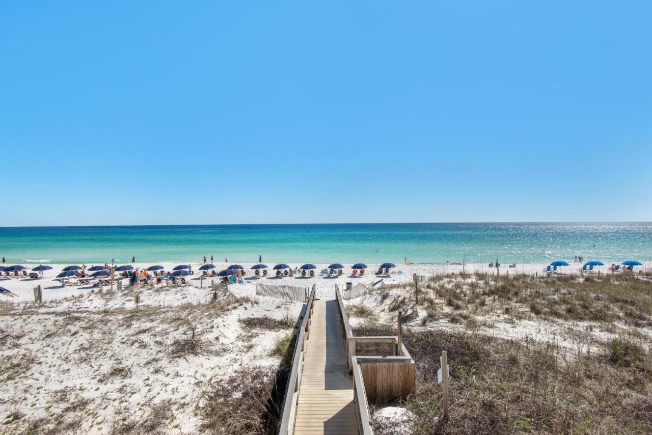 Sea Dunes 204