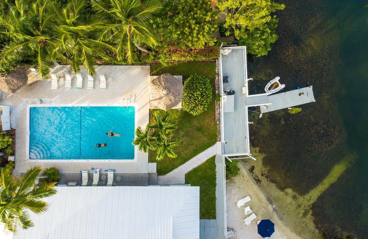 Hotel Amoray Dive 2*