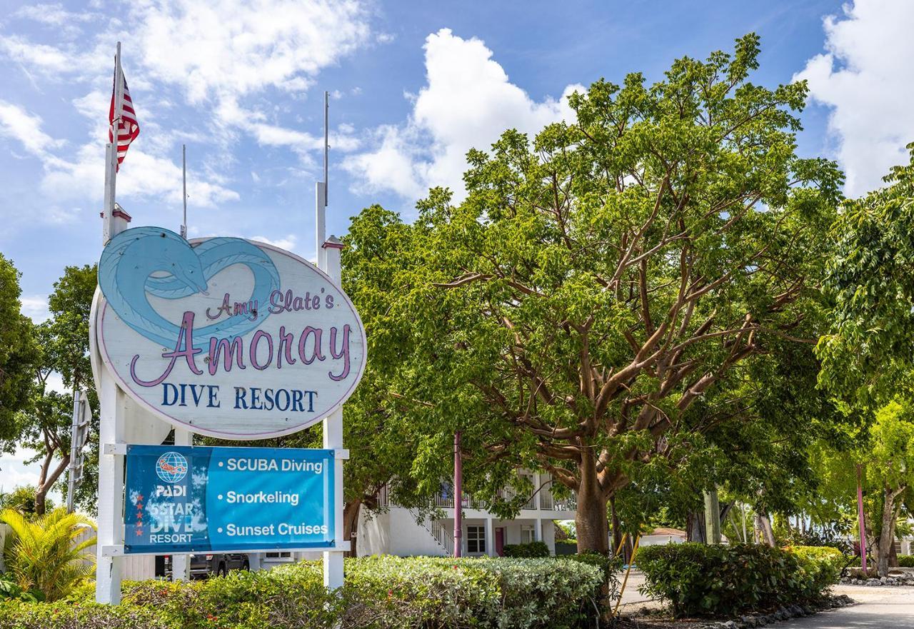 Hotel Amoray Dive 2*