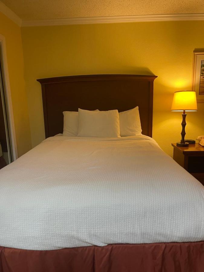 Hotel Club 3*